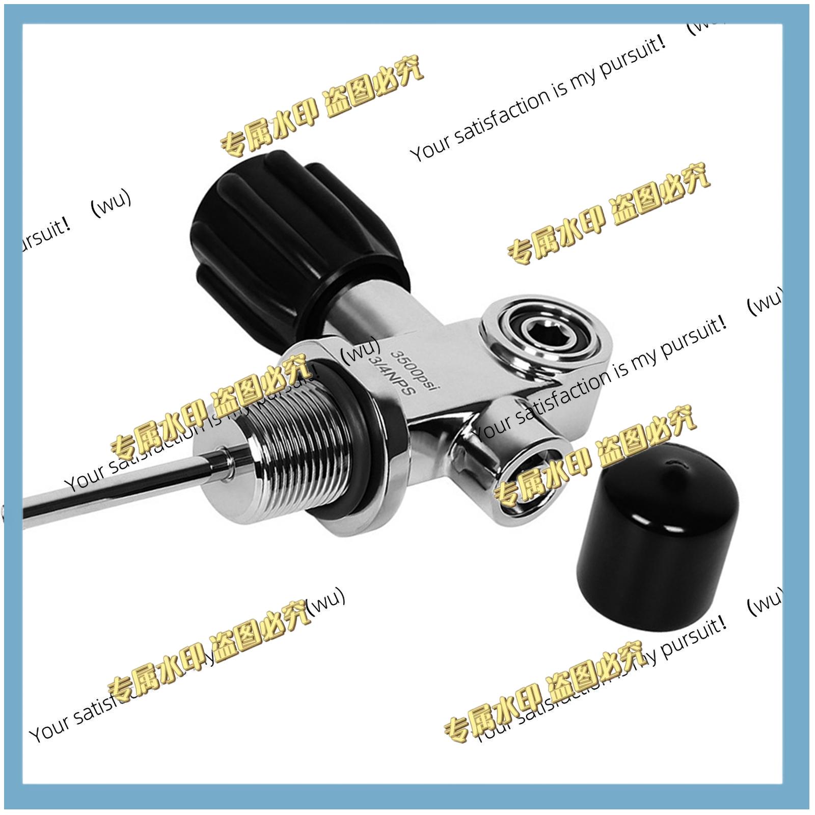 Vanne de bouteille de plongée  - Scuba Tank Valve Din Yoke Convertible avis et prix